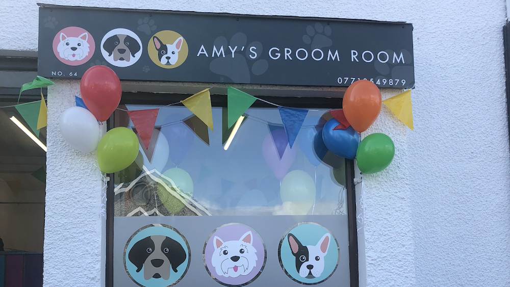 Amy’s Groom Room