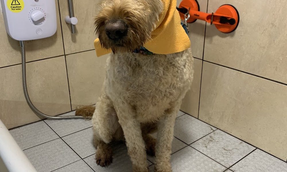 Bark N Baths