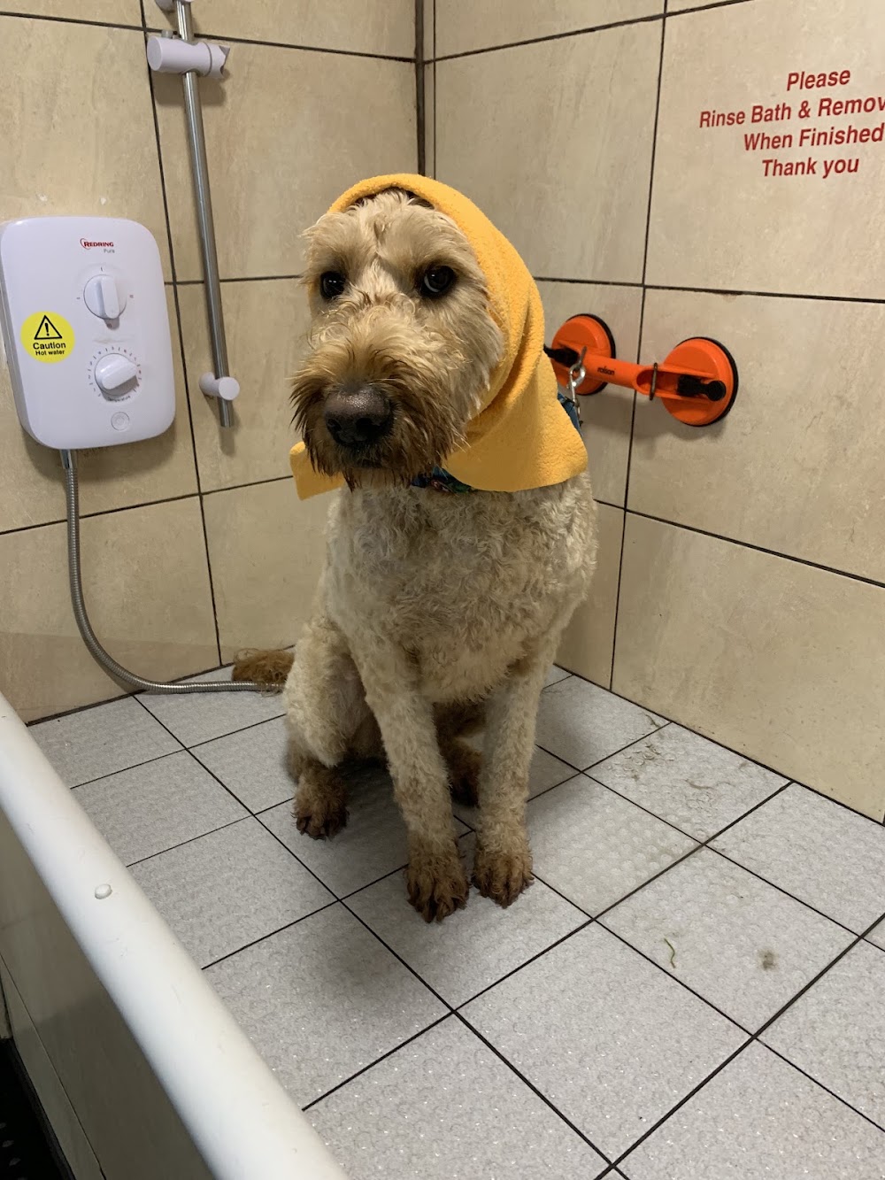 Bark N Baths