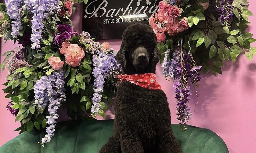 Barking Style Boutique