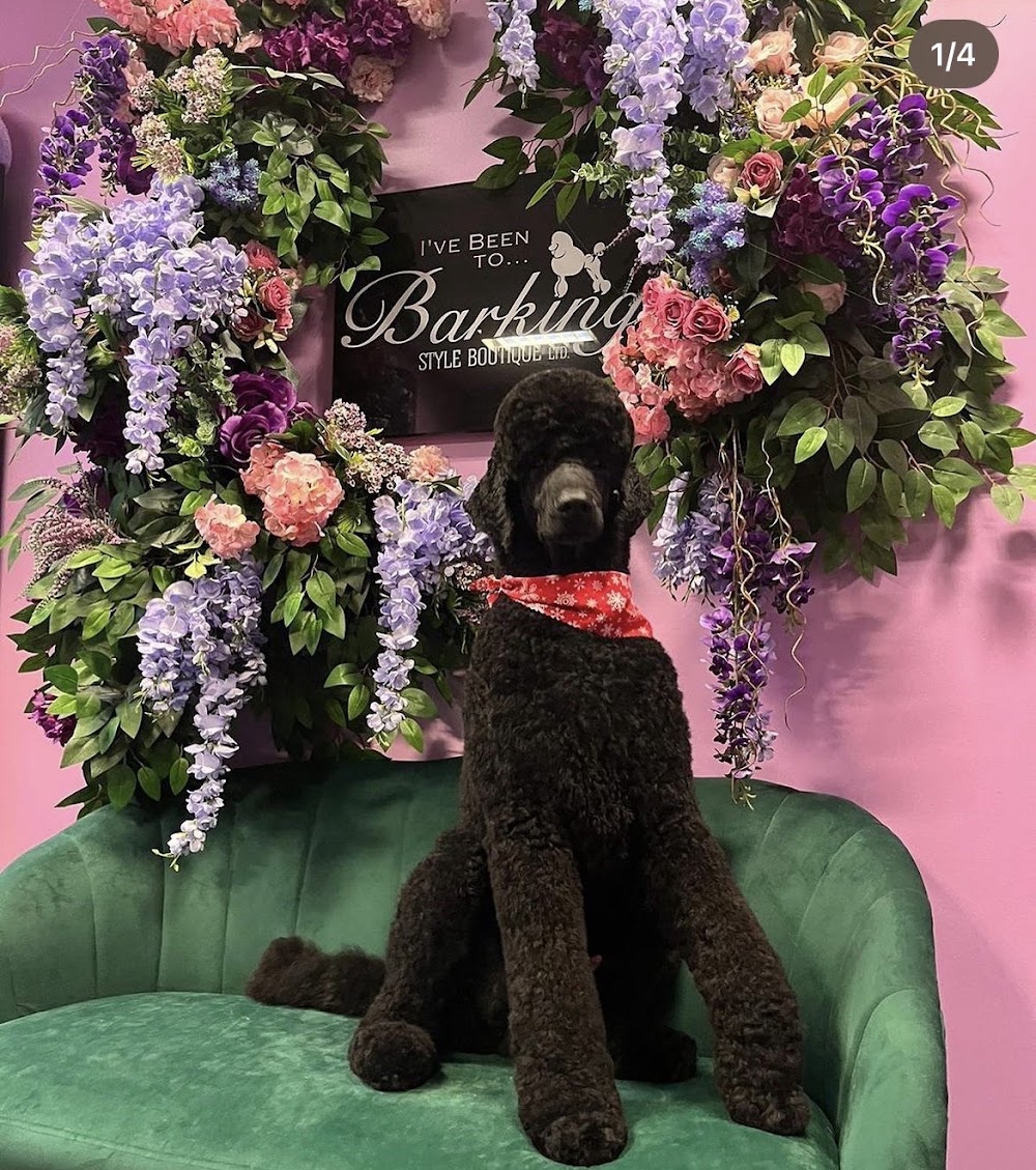 Barking Style Boutique