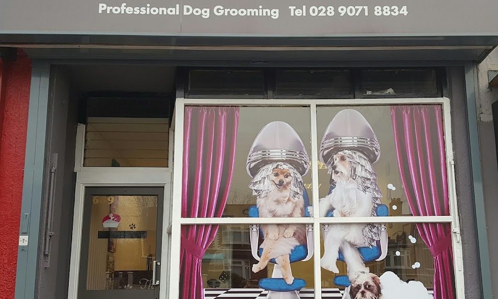 Belfast Dog Groomers