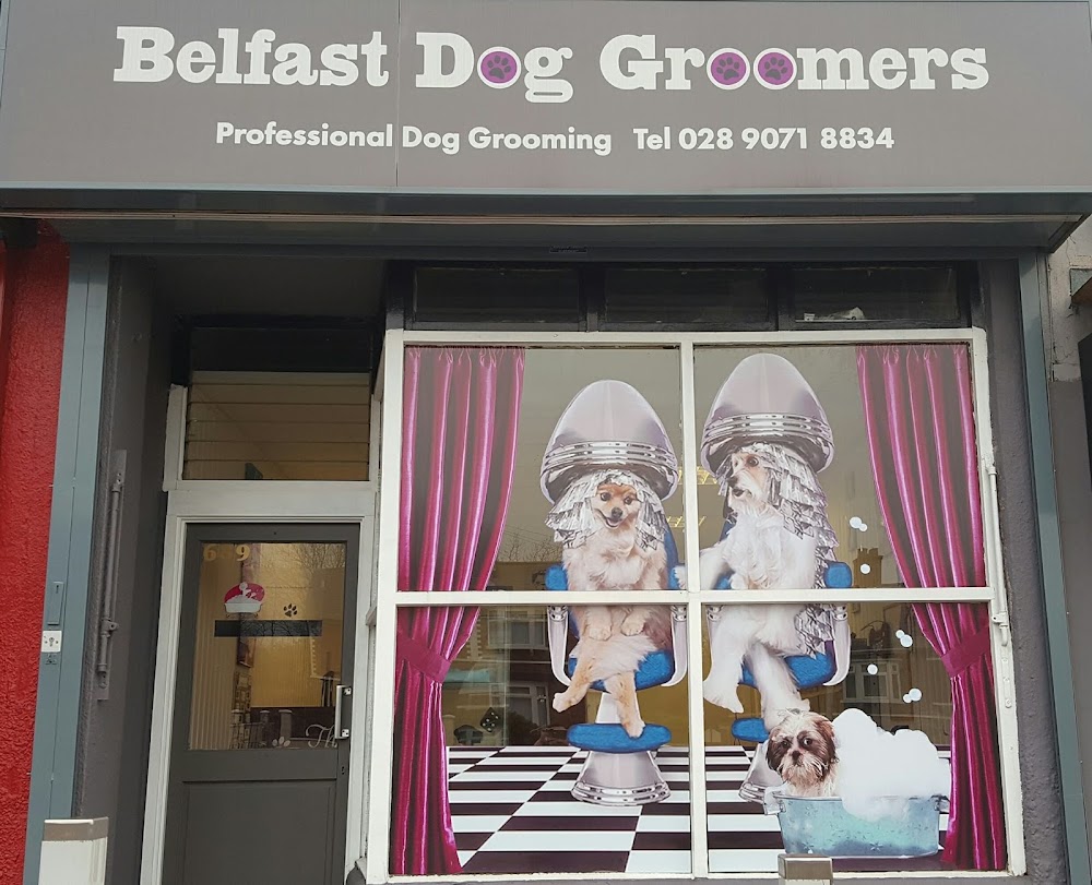 Belfast Dog Groomers