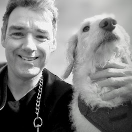 Hanwoofz Dog Grooming