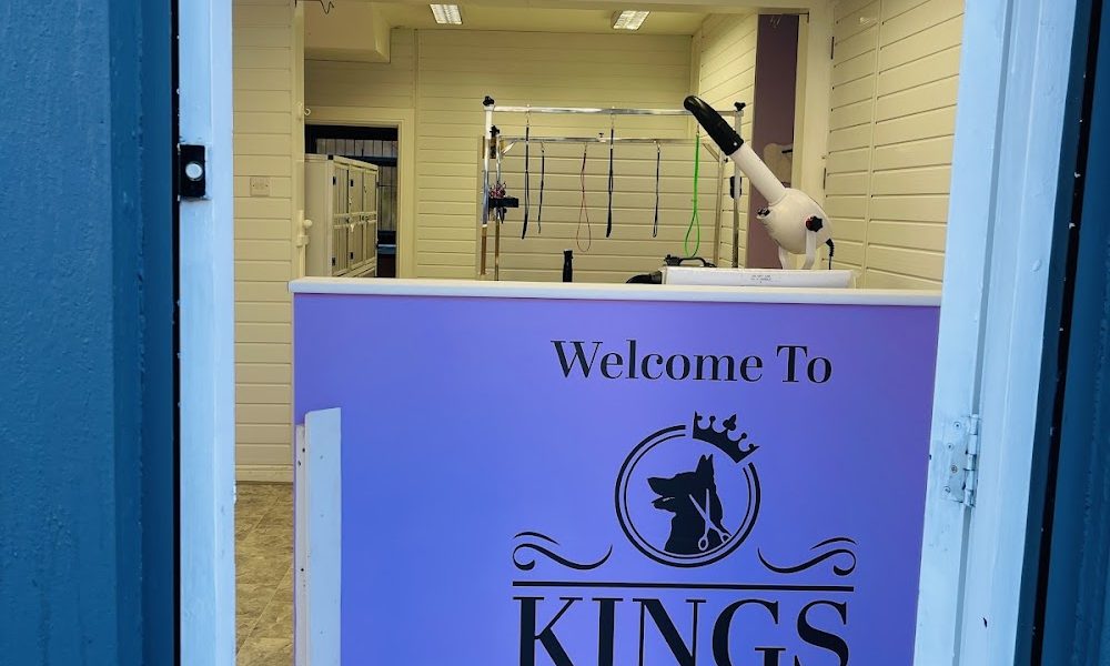 Kings Dog Groomers