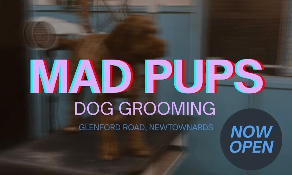 Mad Pups Dog Grooming