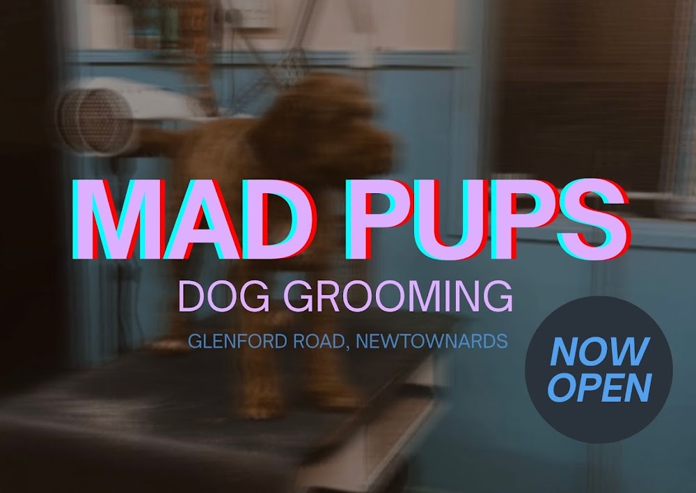 Mad Pups Dog Grooming