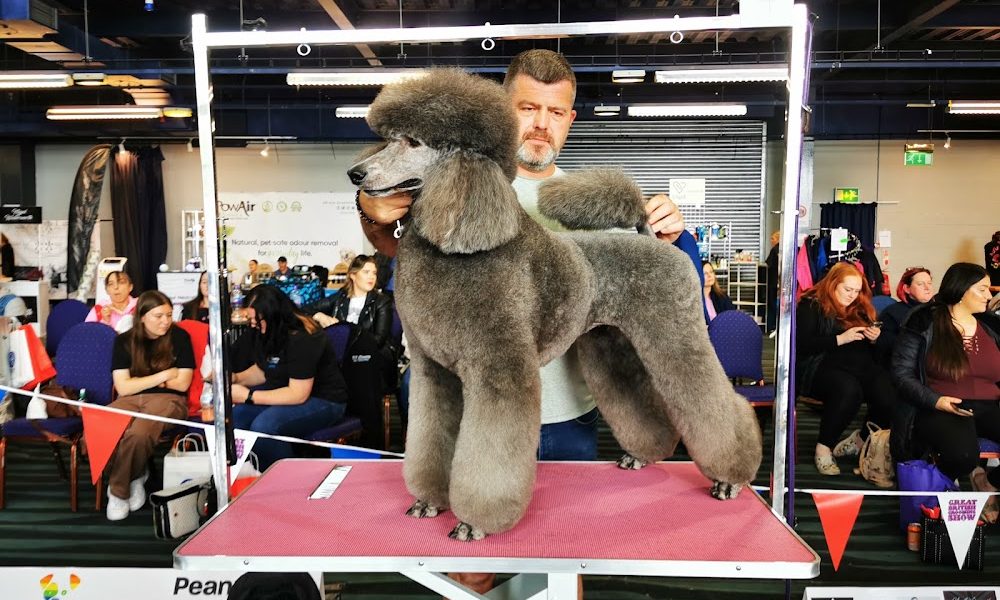 Michael Shiels Academy @ Bark N Beauty Spa Dog Grooming School