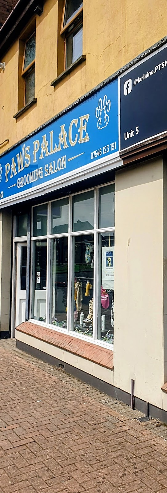 Paws Palace Grooming Mallusk