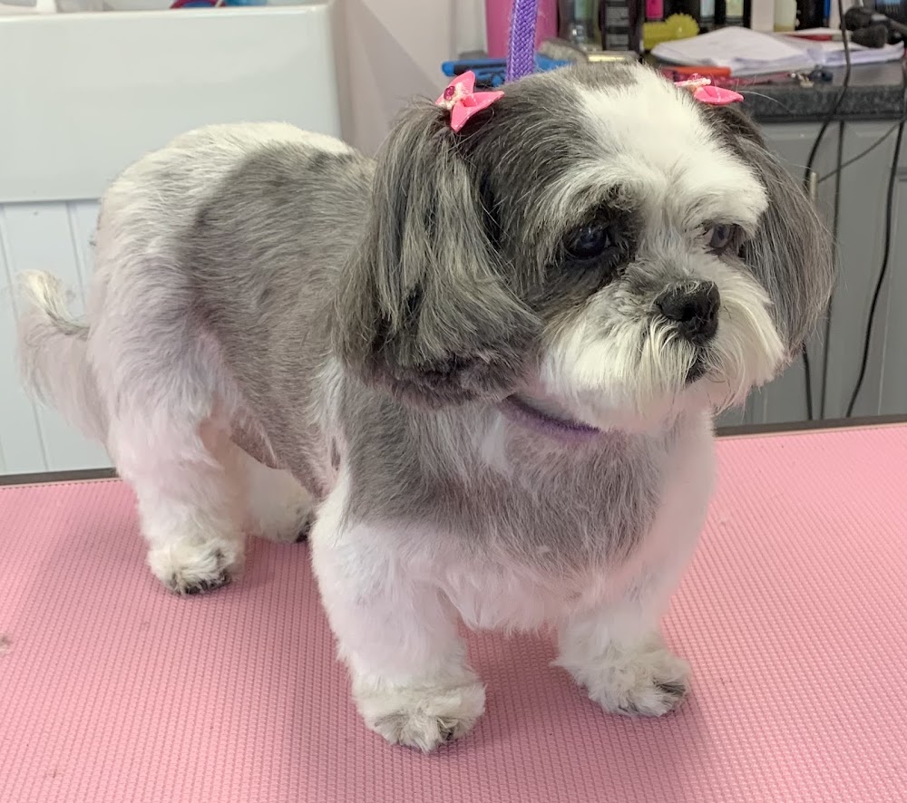 RUFF to FLUFF