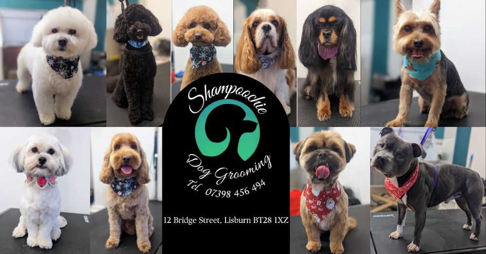 Shampoochie Dog Grooming