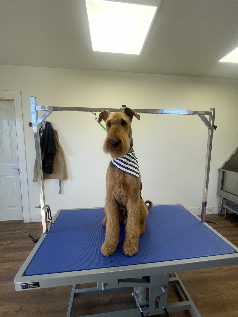 The Barkhouse
