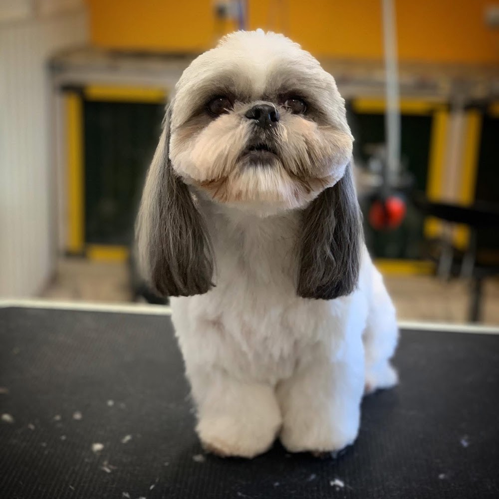 Caliway Dog Grooming